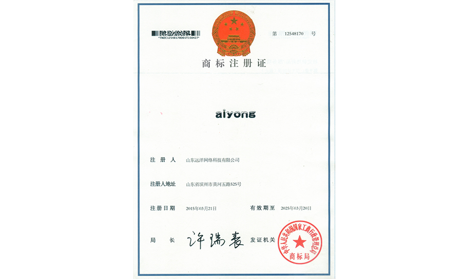 aiyong商標注冊證